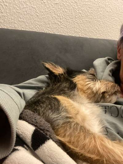 Foto Challenge Nr. 134-Beitrag-Bild