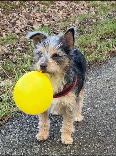 11. Farben Foto Challenge Rot-Beitrag-Bild