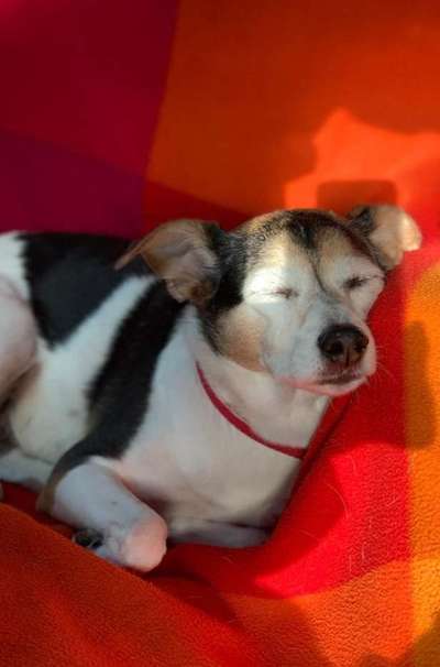 15. Handyfoto Challenge - Indoor Aktivitäten-Beitrag-Bild