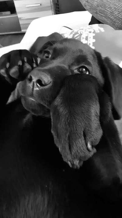 Foto-Challenge 76: Foto in Schwarz-Weiss-Beitrag-Bild