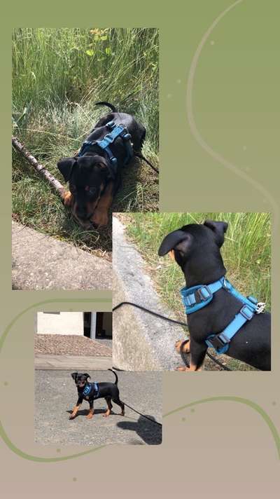 Tipps für eine Anfängerin?-Beitrag-Bild