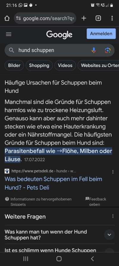 Schuppenlandschaft-Beitrag-Bild