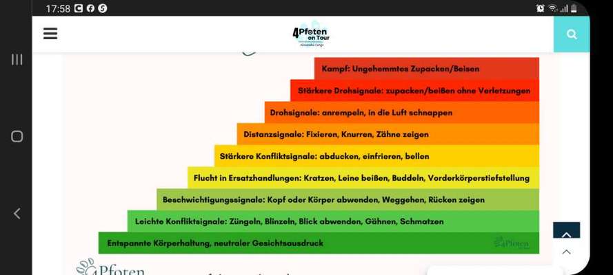 Gesichtsausdruck - Welche Eskalationsstufe?-Beitrag-Bild