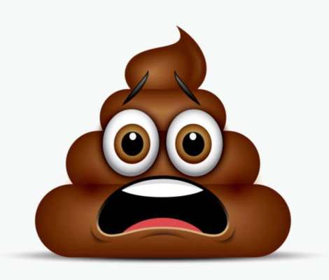 Komisches Ding im Kot-Beitrag-Bild