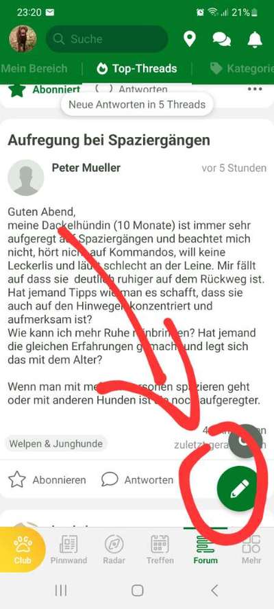 Aufregung bei Spaziergängen-Beitrag-Bild