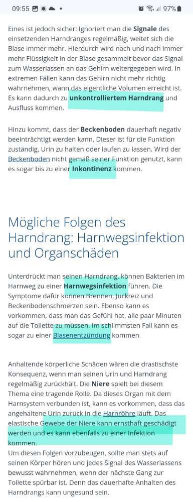 Gassi Runde-Beitrag-Bild