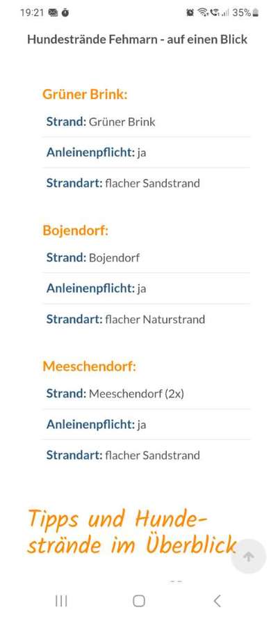 Fehmarn - am Hundestrand nur angeleint?-Beitrag-Bild