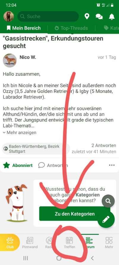 Souveräner Althund für gemeinsame "Gassistrecken", Erkundungstouren gesucht-Beitrag-Bild