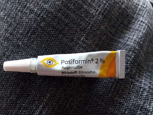 Behandlung Bindehautentzündung-Beitrag-Bild