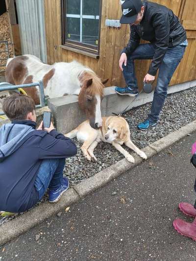 Dogorama Photo Challenge - Tierischer Urlaub-Beitrag-Bild