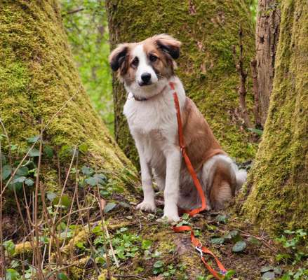 Foto Challenge Nr. 79-Beitrag-Bild