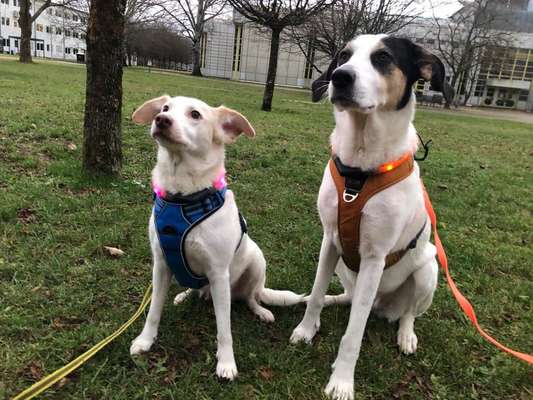 Leuchtie bei Dunkelheit bitte !-Beitrag-Bild