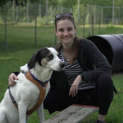 Hundetreffen-Social walks in Reutlingen