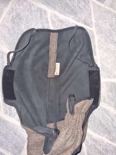 Hundekleidung - Top oder Flop-Beitrag-Bild