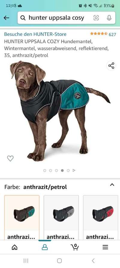 Hundekleidung - Top oder Flop-Beitrag-Bild