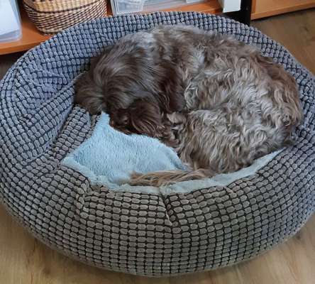 Schlafplatz im Winter-Beitrag-Bild