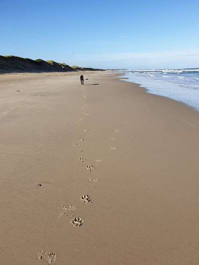 Urlaub Dänemark-Beitrag-Bild