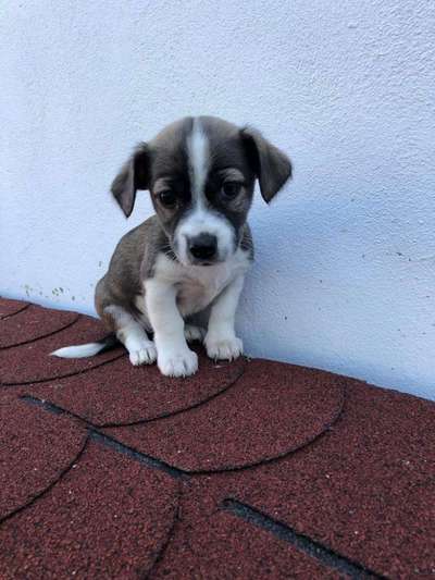 Erstes Bild-Beitrag-Bild