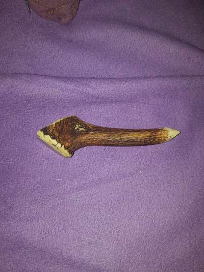 Ungefährliches Kauholz-Beitrag-Bild