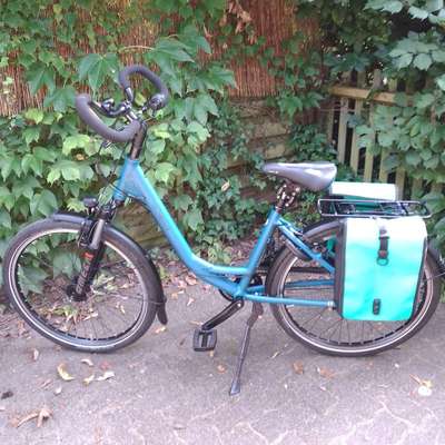 Hundetreffen-Suche entspannte Hundefreunde für Spaziergänge, Radtouren, Kurzreisen, Training Spiel und Spaß !