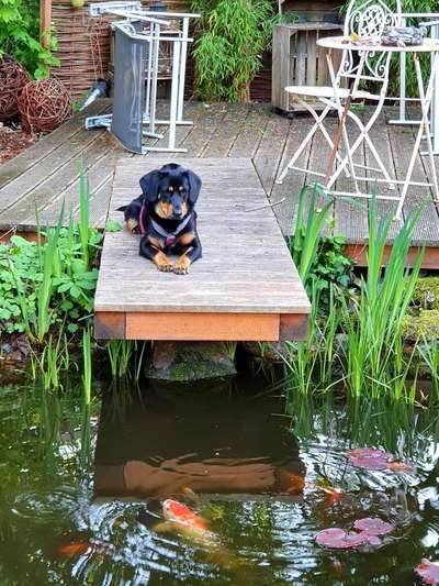 Foto Challenge - BEENDET - bitte aktuelle Challenge nutzen-Beitrag-Bild