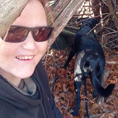 Hundetreffen-austausch mit andeten hundbesitzer. im Freiberger wald