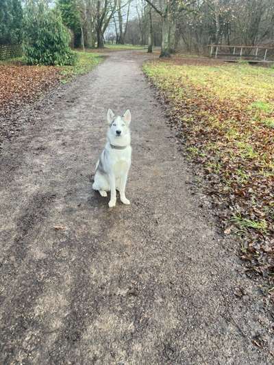 Zutreffende "Vorurteile"?-Beitrag-Bild