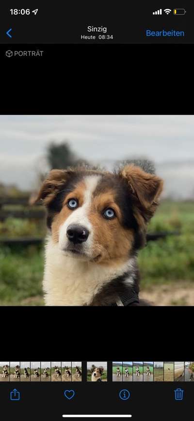 Fotochallange Nr. 57     PORTRÄT.   Beendet!!!!!!!!-Beitrag-Bild