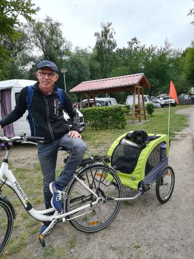 Hunde im Urlaub-Beitrag-Bild