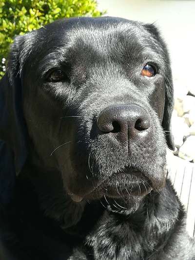 Lieblingsbild :D-Beitrag-Bild