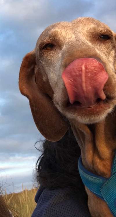 Tongue Out Tuesday-Beitrag-Bild