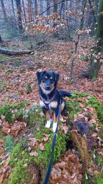 Leute aus Oberbayern?-Beitrag-Bild