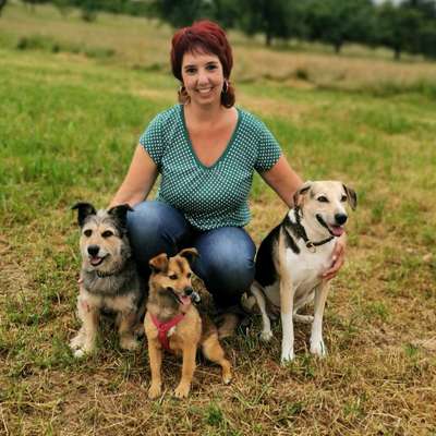 Hundetreffen-Ganztagesbetreuung gesucht-Profilbild