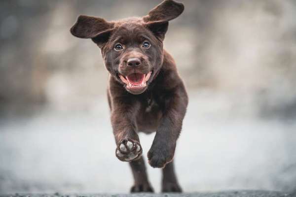 Fotochallenge Nr. 67: Euer Lieblingsbild-Beitrag-Bild