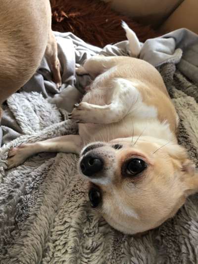 Lieblingsbild-Beitrag-Bild