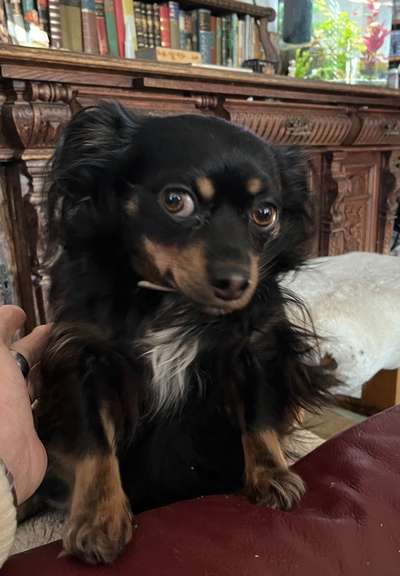 Lieblingsbild-Beitrag-Bild