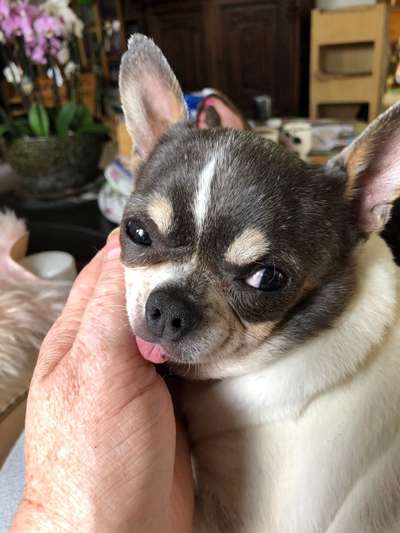 147. Foto Challenge: Bettelblick-Beitrag-Bild