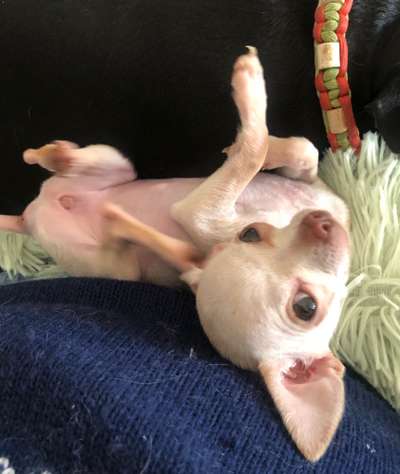 Lieblingsbild-Beitrag-Bild