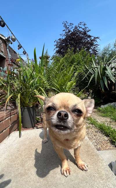 147. Foto Challenge: Bettelblick-Beitrag-Bild