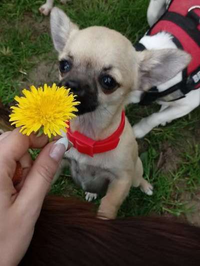 Lieblingsbild-Beitrag-Bild