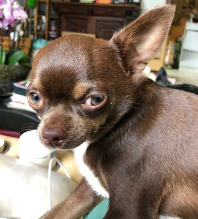 Lieblingsbild-Beitrag-Bild