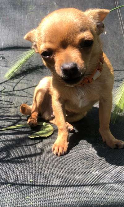 Lieblingsbild-Beitrag-Bild