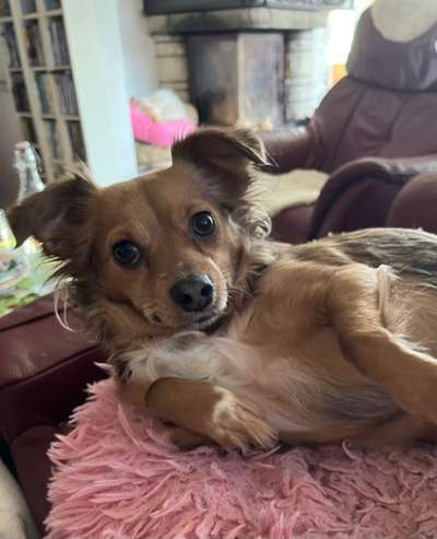 Lieblingsbild-Beitrag-Bild