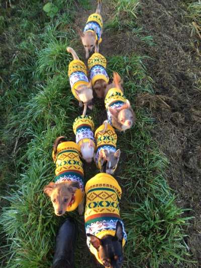 Kurzgeschichten-Challenge Nr. 18-Beitrag-Bild