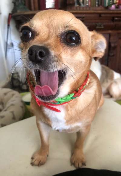 147. Foto Challenge: Bettelblick-Beitrag-Bild