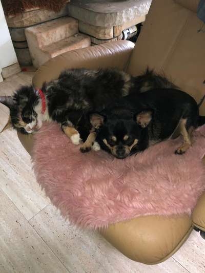 Lieblingsbild-Beitrag-Bild