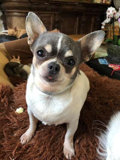 Lieblingsbild-Beitrag-Bild