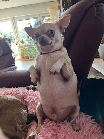 Lieblingsbild-Beitrag-Bild