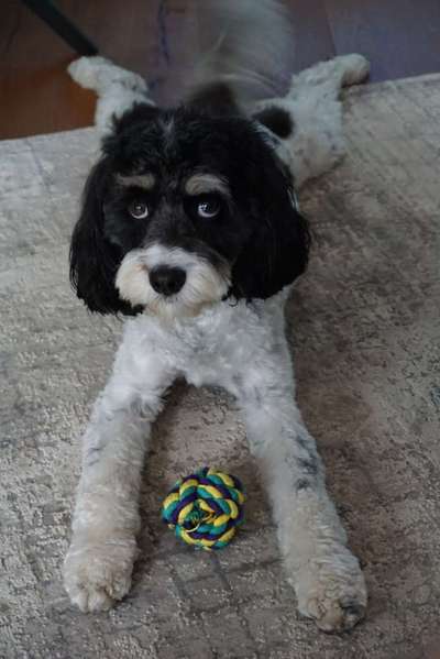 Lieblingsbild-Beitrag-Bild