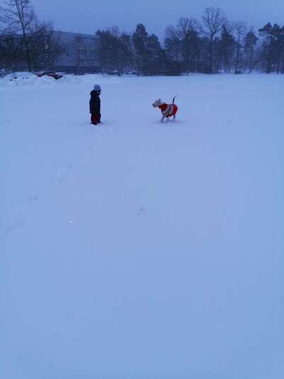 Zeigt mir eure Lieblingsfotos ♡♡-Beitrag-Bild